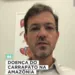'Não é o mesmo carrapato comum do cão', diz infectologista do Acre sobre febre maculosa