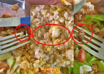 Estudantes mostram comida de restaurante universitário com caramujo, cabelo e besouro; Ifac se manifesta