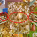 Estudantes mostram comida de restaurante universitário com caramujo, cabelo e besouro; Ifac se manifesta