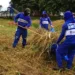 A limpeza está presente no dia a dia dos rio-branquenses (Foto: Renilson Rodrigues/Assecom)