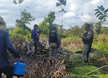 Reprodução Juruá Online