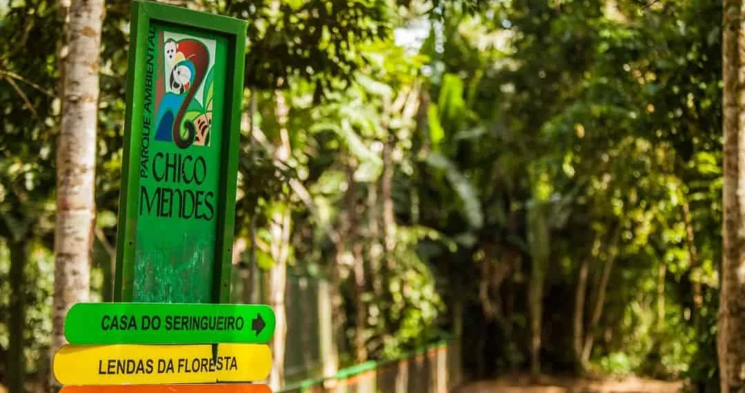 Jabutis são furtados no Parque Chico Mendes na madrugada deste sábado