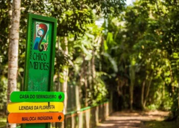 Jabutis são furtados no Parque Chico Mendes na madrugada deste sábado