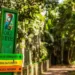 Jabutis são furtados no Parque Chico Mendes na madrugada deste sábado