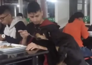 Estudante da Ufac divide jantar com cachorro no RU e vídeo viraliza nas redes; veja
