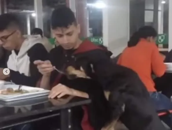 Estudante da Ufac divide jantar com cachorro no RU e vídeo viraliza nas redes; veja