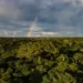 Alertas de desmatamento no Acre reduzem mais de 77% em maio