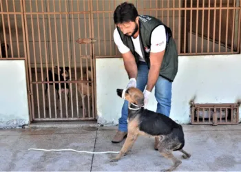 Servidores da Saúde de Rio Branco podem ampliar carga horária e remuneração a partir de 2026 2 (Foto: Evandro Derze/Assecom)