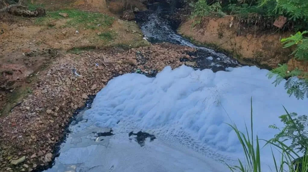 Cineasta denuncia poluição de igarapé em Rio Branco: 'espuma branca'