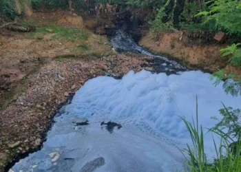 Cineasta denuncia poluição de igarapé em Rio Branco: 'espuma branca'