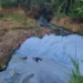 Cineasta denuncia poluição de igarapé em Rio Branco: 'espuma branca'