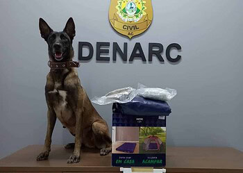 Cão policial encontra 2kg de droga escondida em colchão inflável que seria enviado para o Maranhão