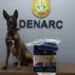 Cão policial encontra 2kg de droga escondida em colchão inflável que seria enviado para o Maranhão