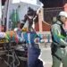 Jovem atropelado por motorista supostamente embriagado tem perna amputada após cirurgia