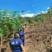 Polícia investiga homem que teria 'casado' com criança de 9 anos no interior do Acre