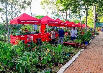Feira 'Ecoflores' será lançada nesta sexta-feira no Horto Florestal