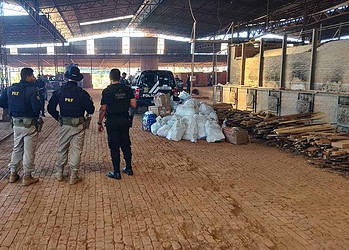 Mais de uma tonelada de drogas são incineradas no Acre