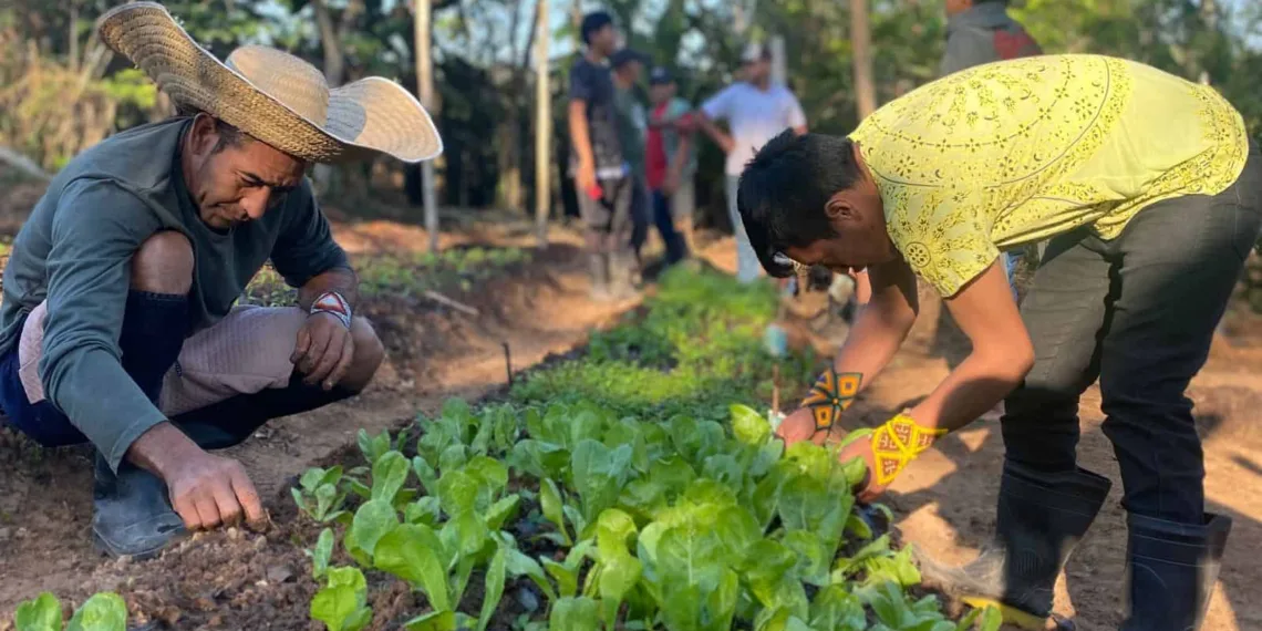 Comissão Pró-Índio Acre promove curso de formação de Agentes Agroflorestais Indígenas