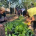 Comissão Pró-Índio Acre promove curso de formação de Agentes Agroflorestais Indígenas