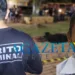 Adolescente ajuda pai a matar homem a golpes de faca por ciúmes de mulher que mantinham relação amorosa