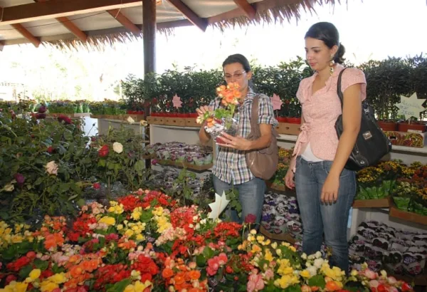 8° edição da Ecoflores em Rio Branco vai reunir expositores do Brasil, Peru e Bolívia