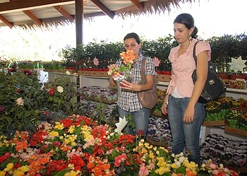8° edição da Ecoflores em Rio Branco vai reunir expositores do Brasil, Peru e Bolívia