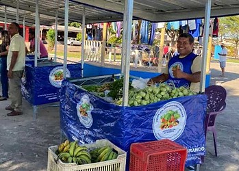 Bancas são ergonomicamente pensadas para ter conforto, segurança e proteção  (Foto: Assecom)