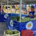 Bancas são ergonomicamente pensadas para ter conforto, segurança e proteção  (Foto: Assecom)