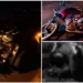 Caminhonete bate na traseira de moto e mata mulher na BR-317