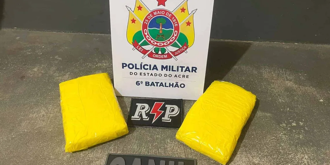 Motorista de caminhão é preso transportando droga na BR-364