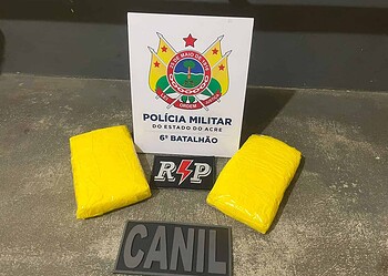 Motorista de caminhão é preso transportando droga na BR-364