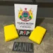 Motorista de caminhão é preso transportando droga na BR-364