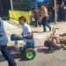 Quadriciclo de secretário de Estado bate em 'trenzinho' e causa acidente na Cavalgada