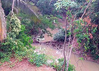 Órgãos ambientais montam estratégia de limpeza do igarapé São Francisco