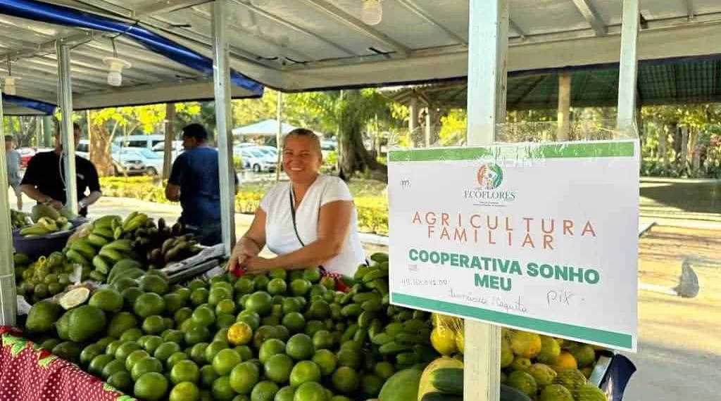 Dia Internacional do Cooperativismo reforça compromisso com sustentabilidade
