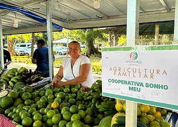 Dia Internacional do Cooperativismo reforça compromisso com sustentabilidade