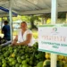 Dia Internacional do Cooperativismo reforça compromisso com sustentabilidade