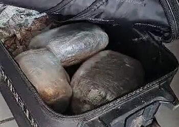 Mais de dois quilos de skank são apreendidos em Cruzeiro do Sul