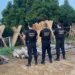 PF realiza operação contra madeireiras clandestinas no Acre e outros três estados