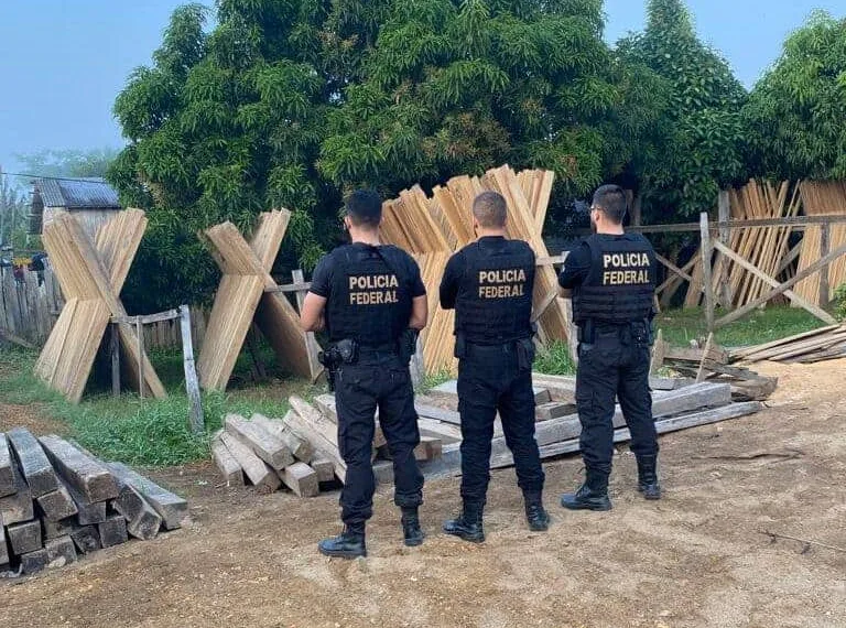 PF realiza operação contra madeireiras clandestinas no Acre e outros três estados