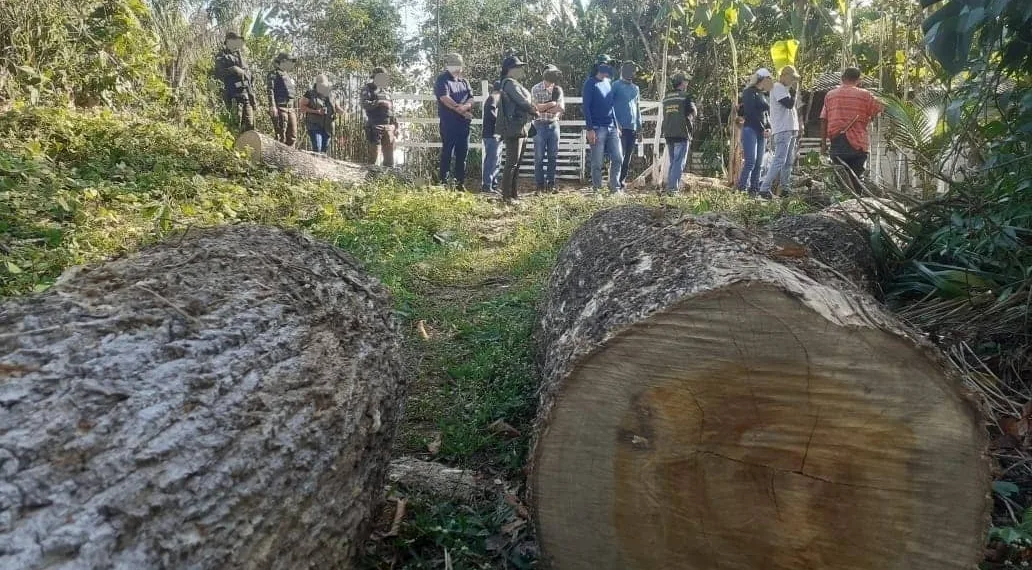 Invasão vem sendo realizada em área de Proteção Ambiental Raimundo Irineu Serra (Foto: Assecom)