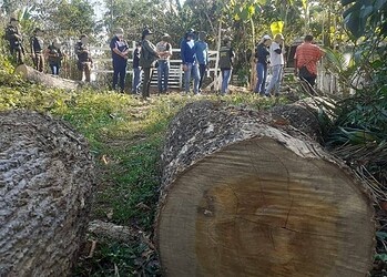 Invasão vem sendo realizada em área de Proteção Ambiental Raimundo Irineu Serra (Foto: Assecom)