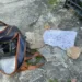 Foto: cm7brasil.com