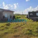 Peão mata esposa de 17 anos a golpes de martelo