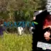 Jovem de 18 anos é sequestrado por facção e corpo é encontrado em região de mata no Belo Jardim