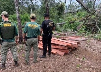 Operação contra desmatamento termina com um homem baleado
