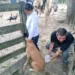 Foto: Assessoria