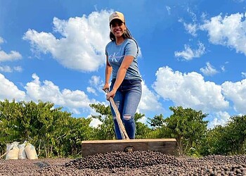 Seagri prevê um crescimento vertiginoso de 20% em 2023, com uma alavancagem reflexo do aumento do cultivo da soja e café. Foto: cedida