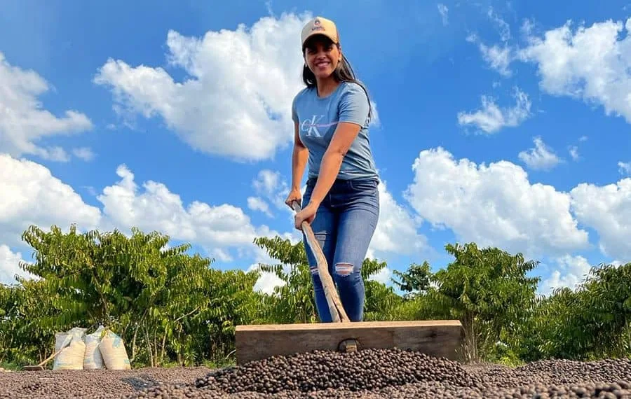 Seagri prevê um crescimento vertiginoso de 20% em 2023, com uma alavancagem reflexo do aumento do cultivo da soja e café. Foto: cedida