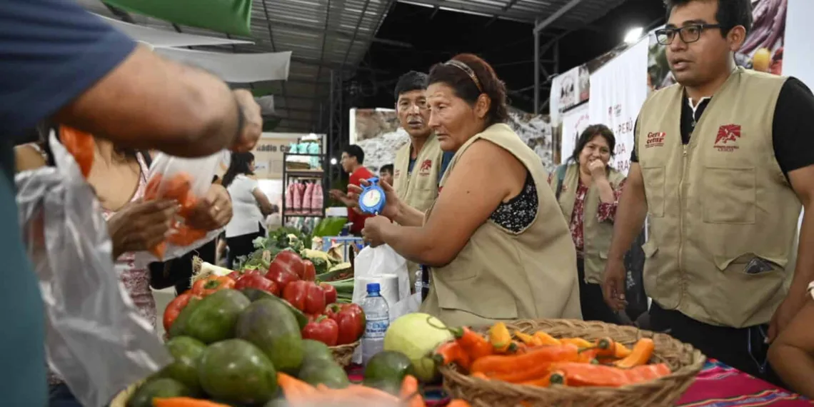Grupo Perbra Holding confirma centro de distribuição de produtos peruanos pelo corredor interoceânico